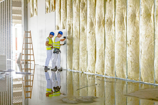 Eco-Friendly or Green Insulation Solutions in Arkoma, OK